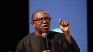 Peter Obi: Tinubu, Atiku suffer serious defeat as LP candidate sweeps 17 LGs in Enugu