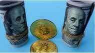 Bitcoin future predicted by analysts amid falling price, million dollar losses