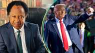Trump’s mass deportation: Shehu Sani sends message to Nigerians hiding in US