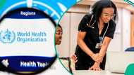 WHO opens applications for 2026 paid internship, invites Nigerians to apply for monthly stipend