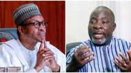 Zuwan Buhari Mali: PDP ta caccaki shugaban kasa Buhari
