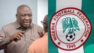 NFF addresses Nigerians with strong statement following World Cup qualification failure