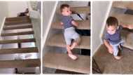 Little kid shocks many in video, slides down staircase without being scared, lands on his feet and walks away