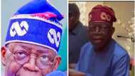 Bidiyon Tinubu, El-Rufai da Manyan ‘Yan Siyasa Sun Girgijewa Bayan Taron Gidan Chatham a Landan