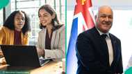 New Zealand announces 3 ways foreigners can find a job in the country