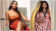 “She deserves to be happy”: Sophia Momodu’s fans make plans to surprise her on birthday in June, she reacts