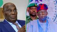 Atiku vs Tinubu: Ex-APC spokesperson sends crucial message to Supreme Court judges