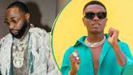 Wizkid and Davido's quote: Drama as fans struggle to take sides between the two singer's statement