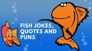 The best collection of fish jokes, puns, and quotes