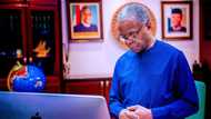 Nigeria will become oasis of peace, security and prosperity - VP Osinbajo declares