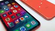 iPhone XR review: A reliable smartphone with amazing features