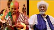 "He can never be the man that Chinua Achebe was": Charly Boy drags Wole Soyinka, calls him Tinubu's boyi boyi