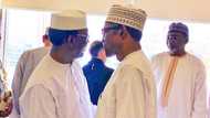 Buhari ya yi sallar Juma'a a kasar Saudiyya (Hotuna)