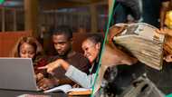 N10m up for grabs as iDICE opens applications for founders lab cohort 2