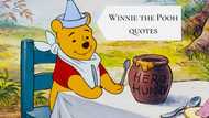 20 heartwarming Winnie the Pooh quotes