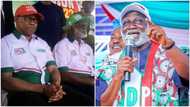 Reactions as Labour Party governorship candidate dumps Peter Obi, supports another presidential flagbearer