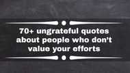 70+ ungrateful quotes about people who don’t value your efforts