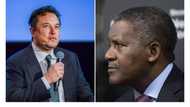 Dangote drops in Billionaire Ranking, Elon Musk, Zuckerberg, Others Rise