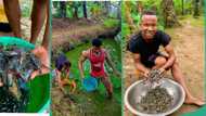 "Keep it up": Photos emerge as Akwa Ibom chef shows off his massive shrimp farm, stirs reactions