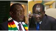 What really killed Robert Mugabe - President Mnangagwa finally reveals