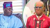 Tinubu told to instantly sack Wike, "non-negotiable"