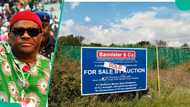 Abuja vs Lagos land prices: Where Nigerians can still buy plots from N3.5 million