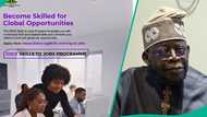How to apply as FG opens iDICE 30,000 job training programme for Nigerian youths