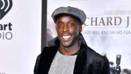 Michael K. Williams bio: Scar, wife, net worth, Lovecraft Country