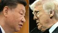 Asian markets rise as traders eye possible Trump-Xi talks