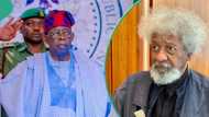 "Za a tuna da kai": Tinubu ya karrama babban marubucin Najeriya, Wole Soyinka