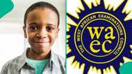 WAEC 2024: Result of college student who cleared his papers except English emerges