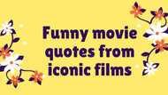 30+ funny movie quotes that will make your day