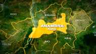 Christmas: Tears flow as 11 persons burnt to death in Anambra auto crash