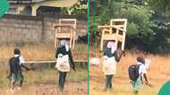 Mother helps her son carry his wooden chair to school on resumption day, cute video trends