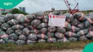 NDLEA uncovers major drug trafficking operations with raids across Nigeria, seizing opioids, others