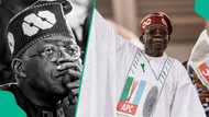 2027 elections: 6 reasons why Tinubu will be re-elected, popular Nigerian lawyer speaks