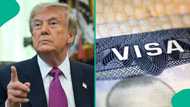 US releases 7 categories of people who can apply for visa without paying fee