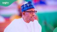 Buhari: Photos show exact spot of ex-president’s final resting place in Daura