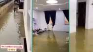 "No need of going to swimming pool": Video of flooded apartment rented for N2m stuns Nigerians