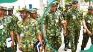 Nigerian Army ranks, symbols, and salaries: top facts and details