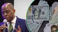 More dollars pump into Nigeria after CBN lifts forex ban on 43 items