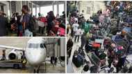 Video of Stranded Travelers at Lagos Airport as NAHCO Workers Stage Strike Sparks Reactions