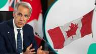 Canada announces citizenship application fees for adults and minors, mentions processing time