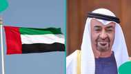 UAE publishes monthly fine for businesses that miss e-invoicing deadline