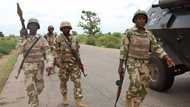 Many terrorists killed as Boko Haram, ISWAP members reportedly turn guns against each other in Borno
