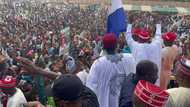 ‘Dan takaran PDP a 2015 da 2019, tsofaffin kusoshin APC za su yi wa NNPP takarar Gwamna