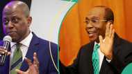 Godwin Emefiele: Bill to bar CBN governors from contesting elections scales second reading in Senate