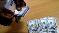 Naira depreciates against the dollar as it exchanges for N528