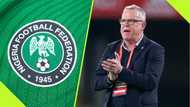 Swedish coach rekindles interest in Super Eagles job: report