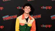 Nicolas Cantu (Junky Janker) biography: who is the voice of gumball?
